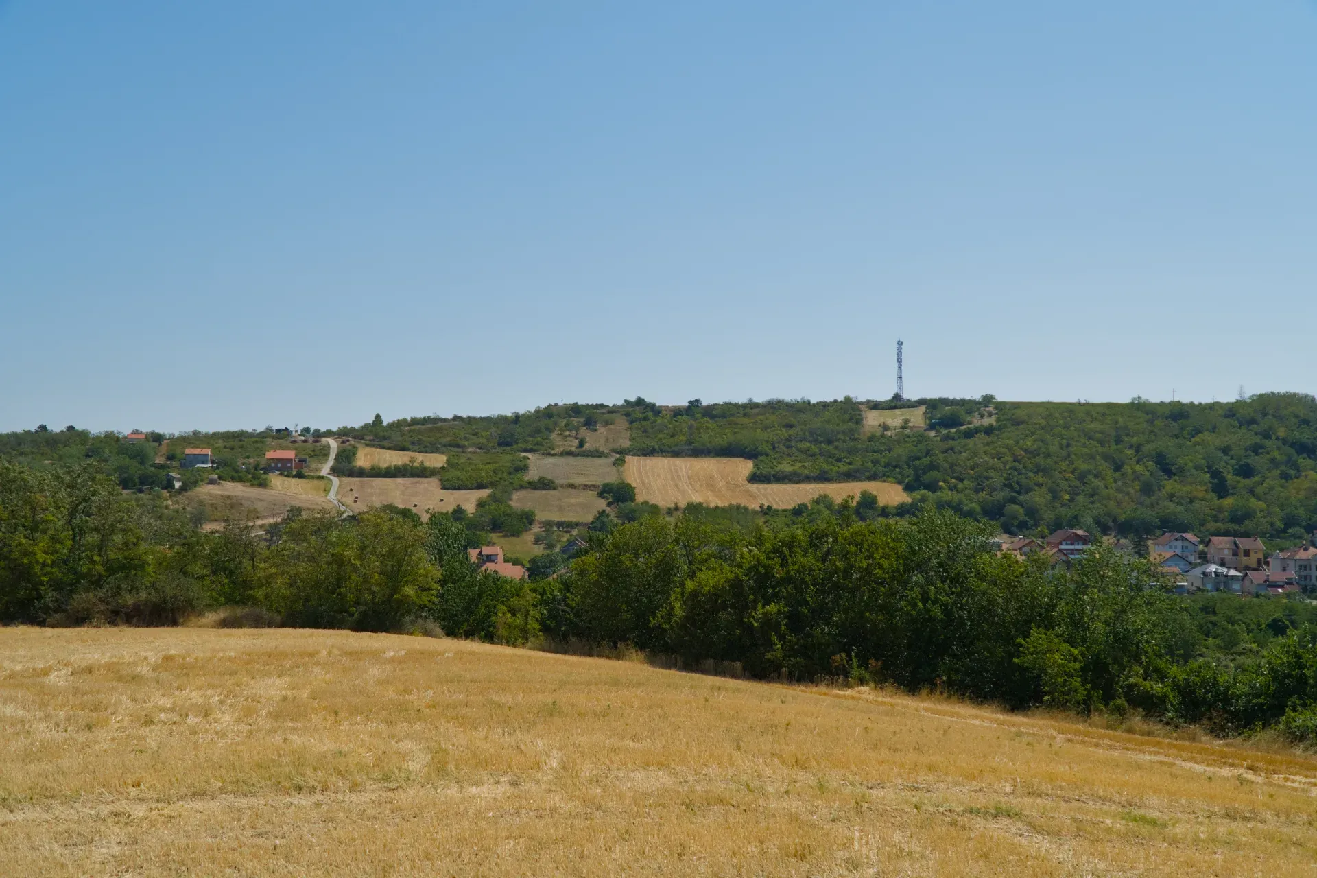 Landscape in the foothills of Fruška Gora, Serbia: golden fields and green hills under a clear sky.