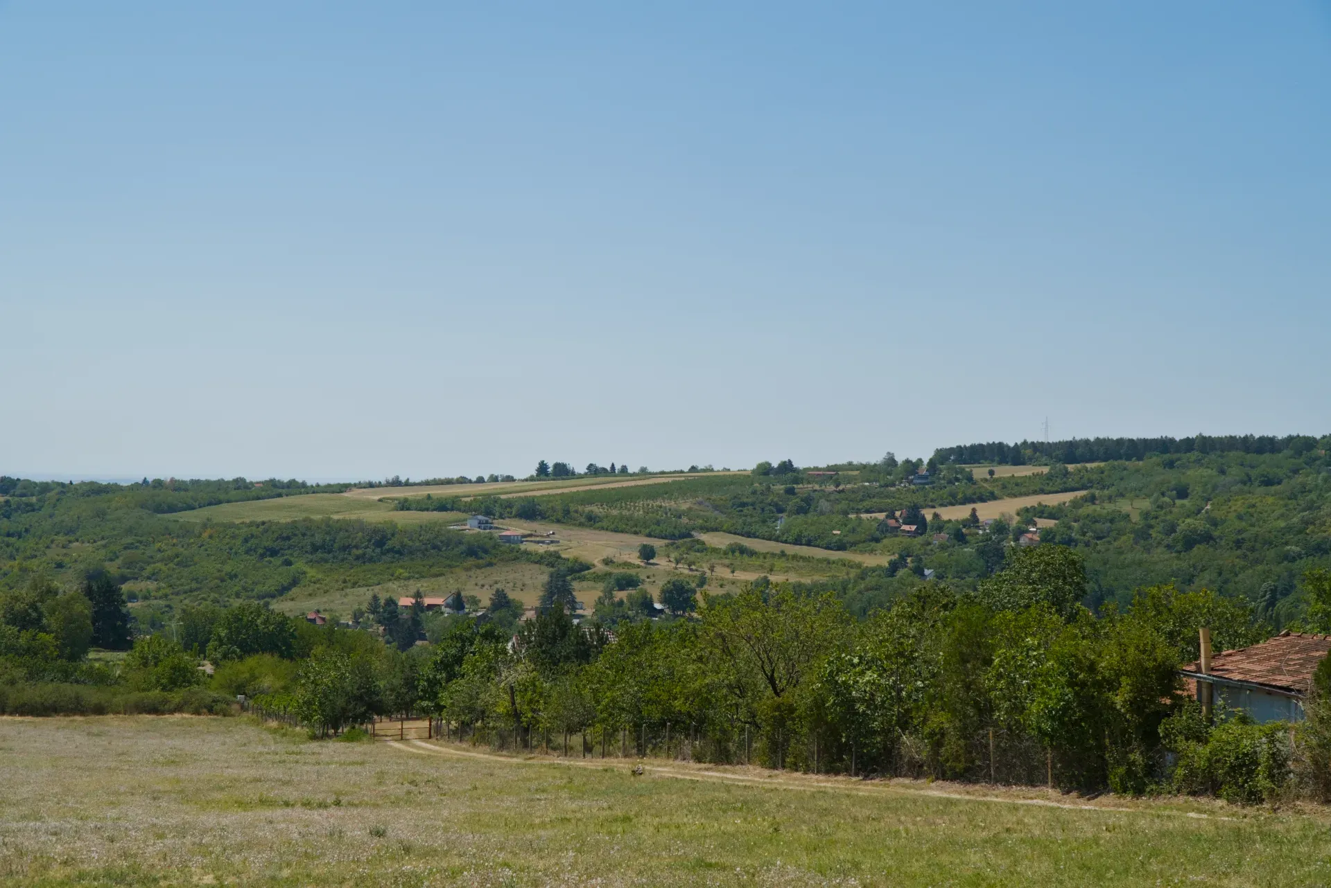 Fruška Gora landscape with hills, fields, and trees under a clear sky, ideal for interiors.